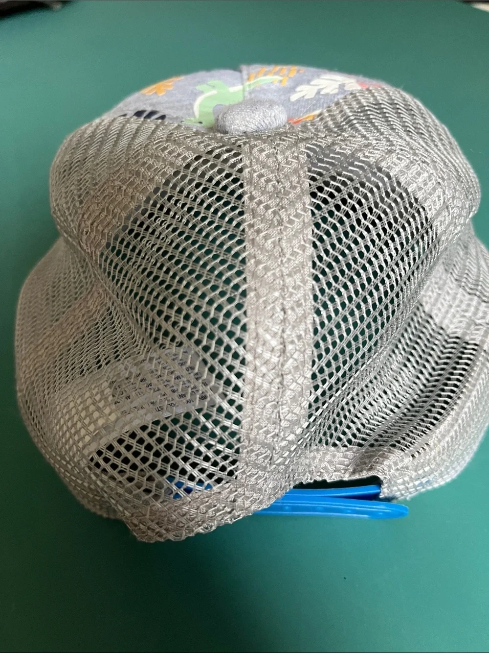 No Brand boy’s dinosaur ball cap.